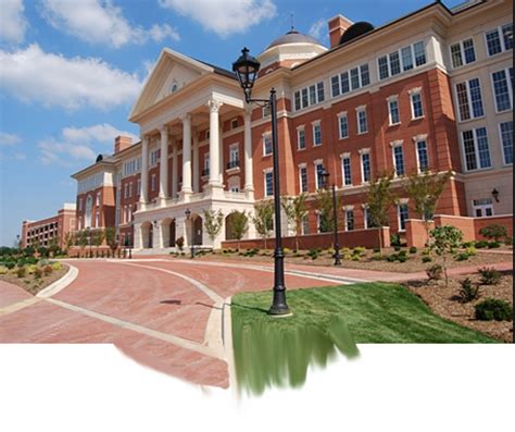 my unc charlotte